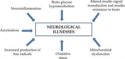 Significance of Brain Glucose Hypometabolism, Altered Insulin Signal Transduction, and Insulin Resistance in Several Neurological Diseases